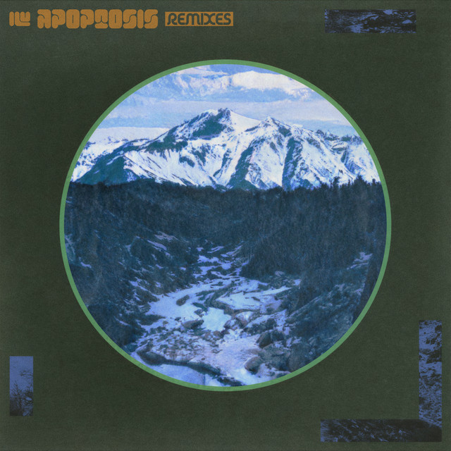 Apoptosis Remixes album cover