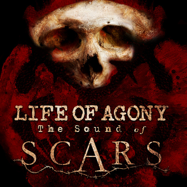 The Sound of Scars album cover
