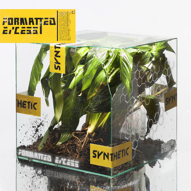 Formatted Excess album cover