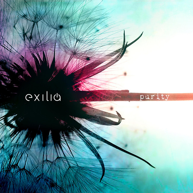 Purity album cover