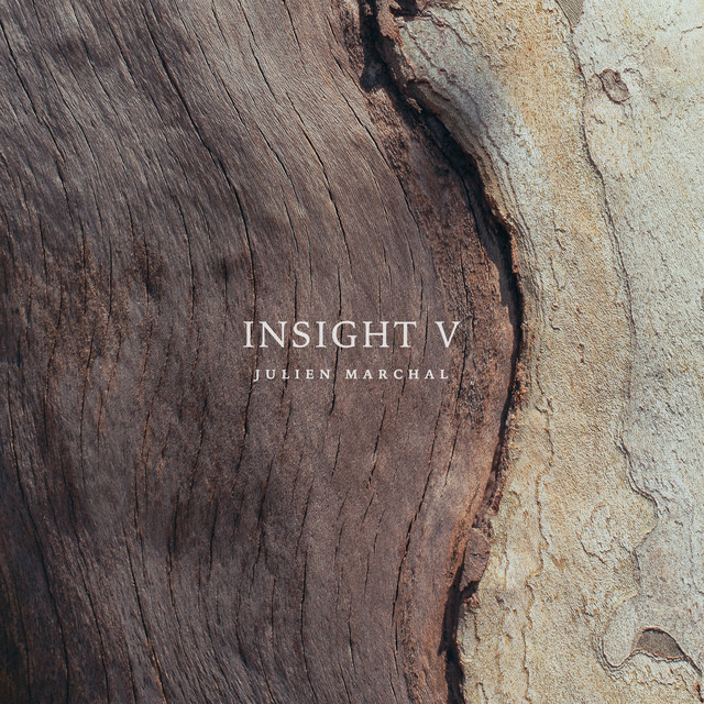 INSIGHT V album cover