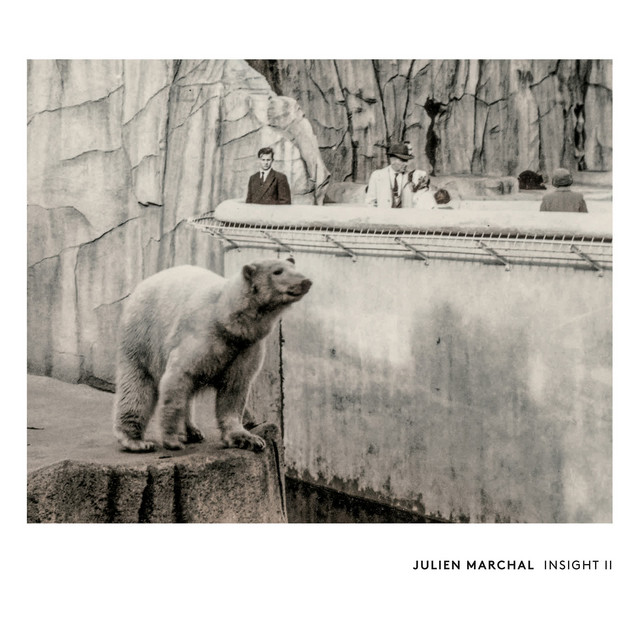 INSIGHT II album cover