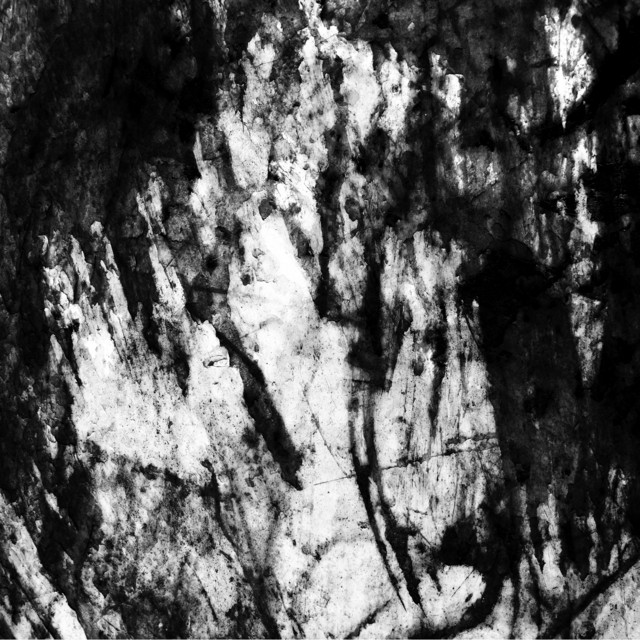 Face of Vehemence album cover