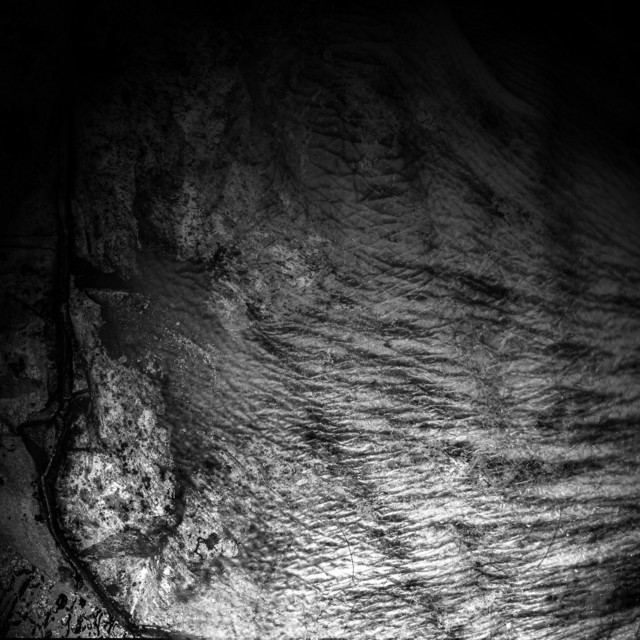 Field of Skin album cover