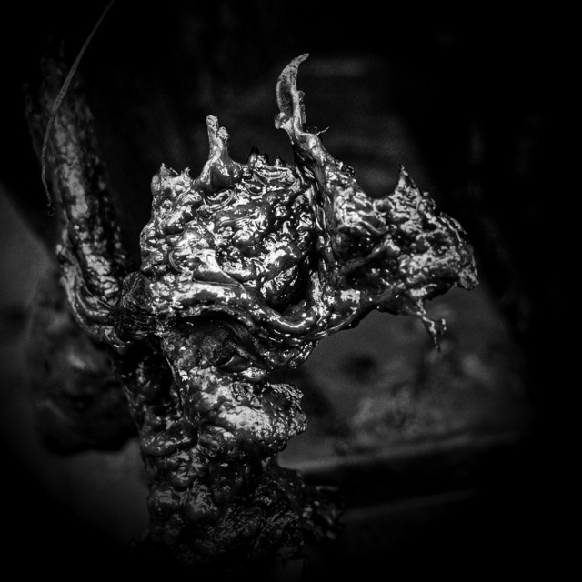 Incineration album cover