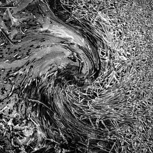 Whorl
