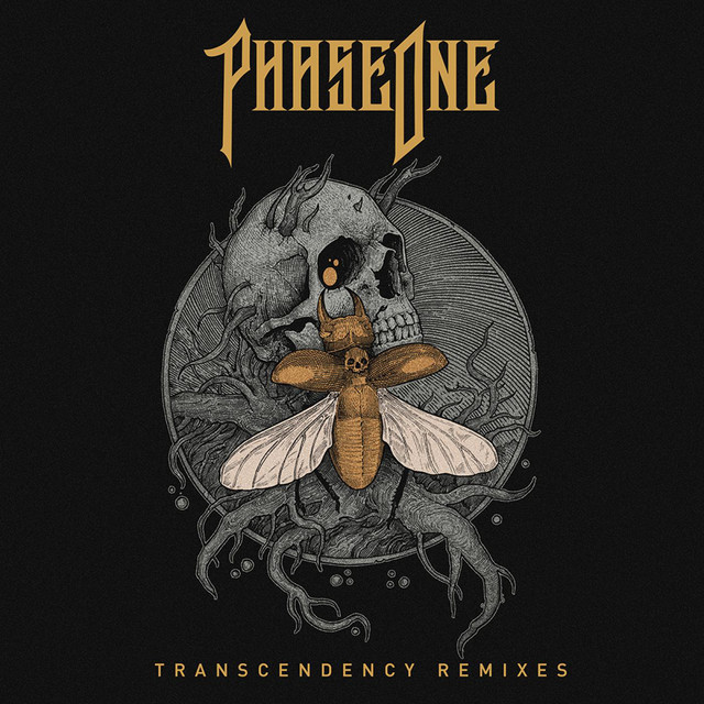 TRANSCENDENCY Remixes album cover