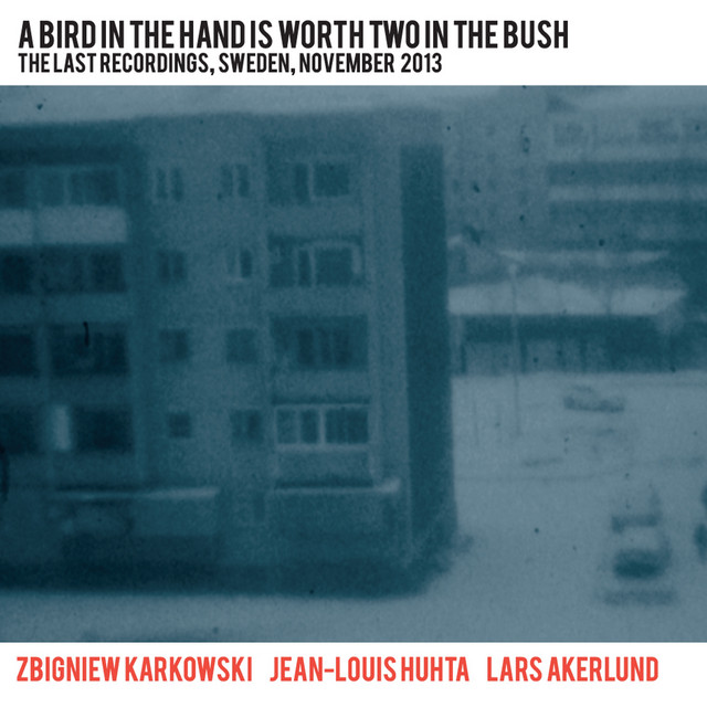 A Bird in the Hand Is Worth Two in the Bush album cover