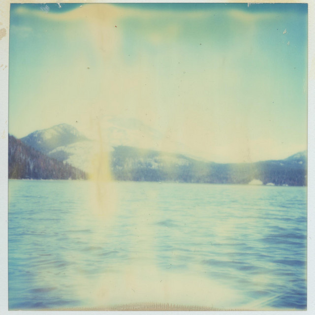 Scotland, I Wish You Had Stayed. album cover