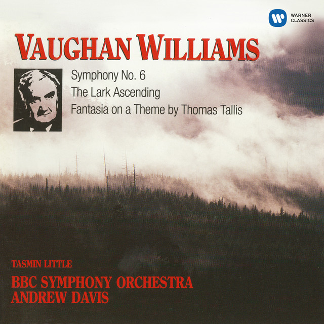 Vaughan Williams: Symphony No. 6, "The Lark Ascending", Fantasia On A Theme By Thomas Tallis, Fantasia on Greensleeves, The Wasps-Overture album cover