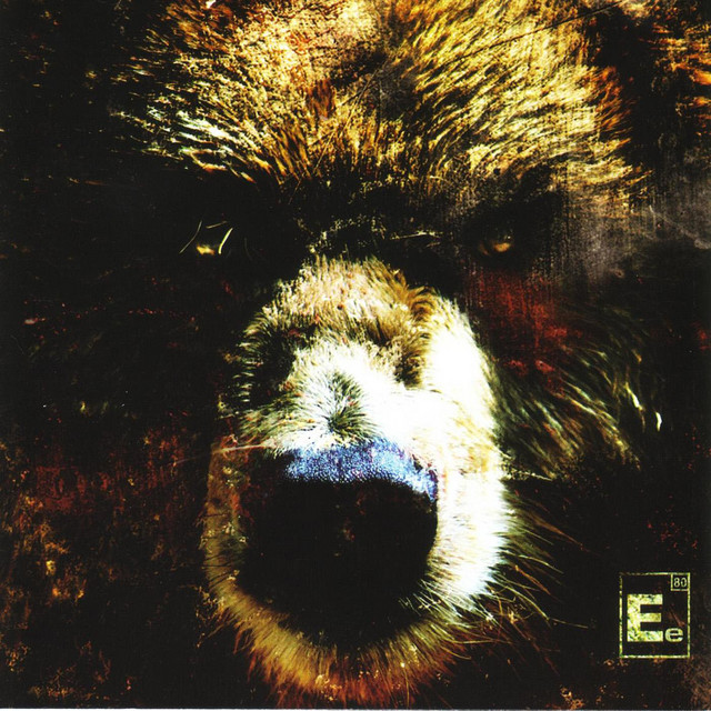 The Bear album cover