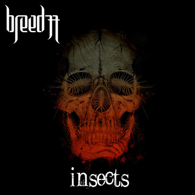 Insects album cover