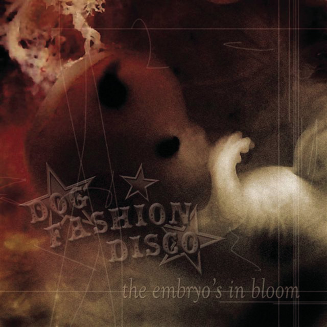 The Embryo's in Bloom album cover