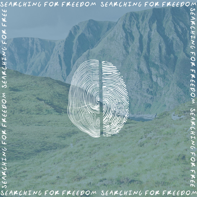 SFF_Instrumentals album cover