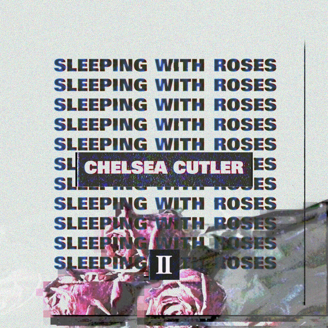 Sleeping with Roses II album cover