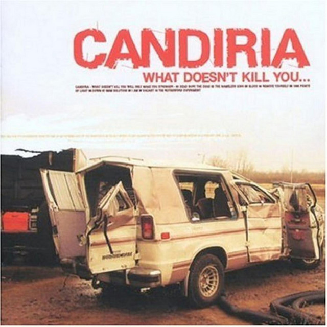 What Doesn't Kill You Will Make You Stronger album cover