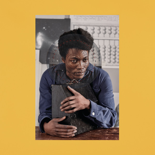 I Tell A Fly album cover