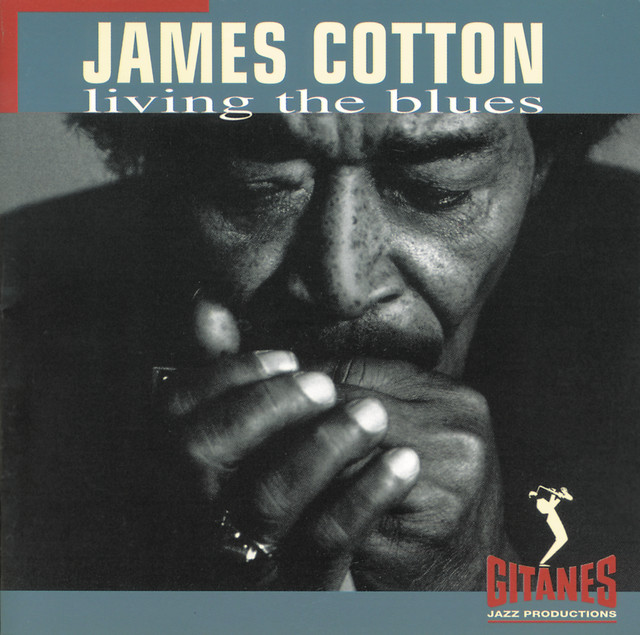 Living The Blues album cover