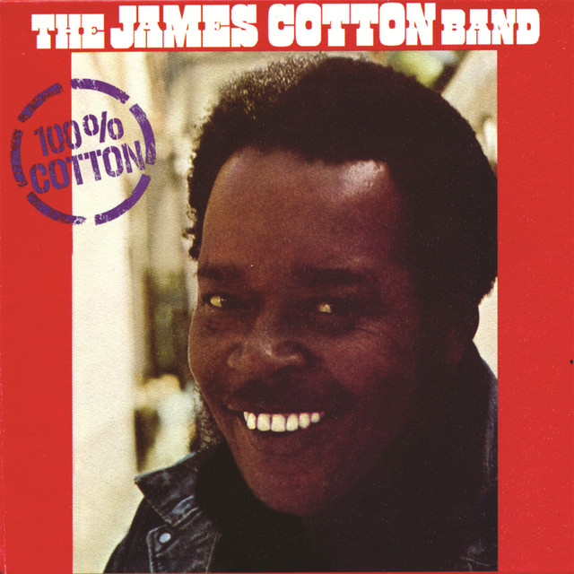 100% Cotton album cover