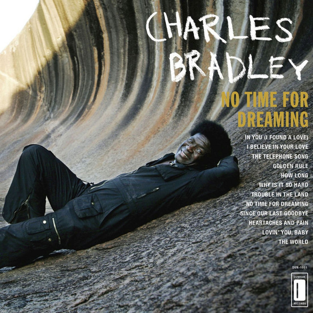Shure SM58 as heard on No Time For Dreaming by Charles Bradley (2011)