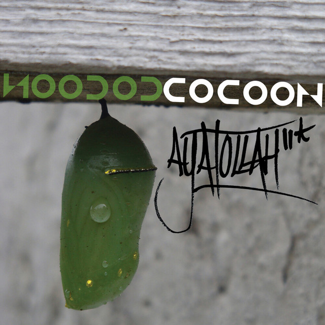 Cocoon album cover