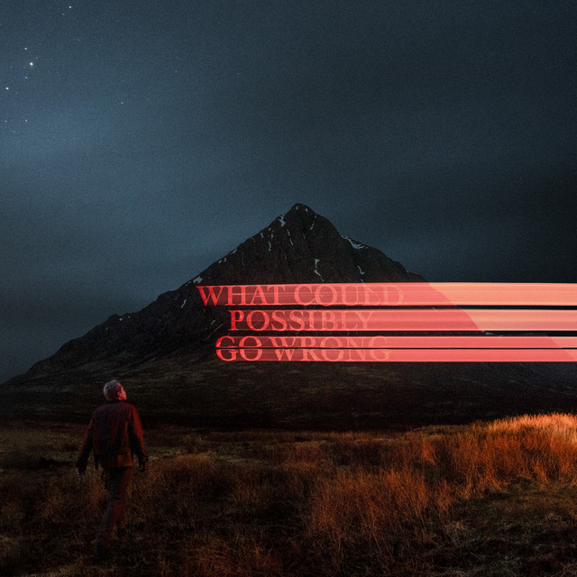 What Could Possibly Go Wrong album cover