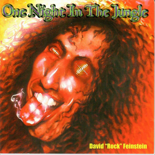 One Night in the Jungle album cover