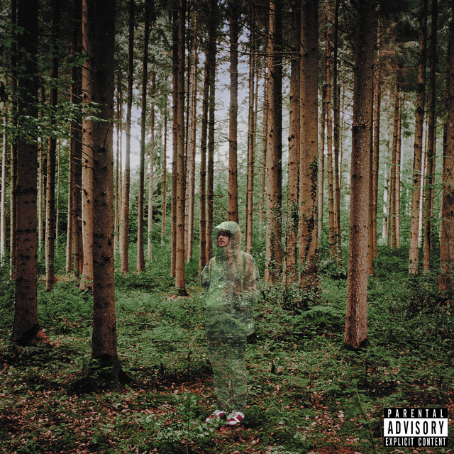I Love You, I’m Trying album cover