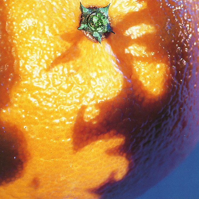 A Picture of Nectar album cover