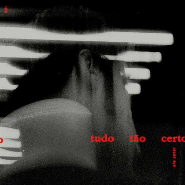 Tudo Tão Certo album cover