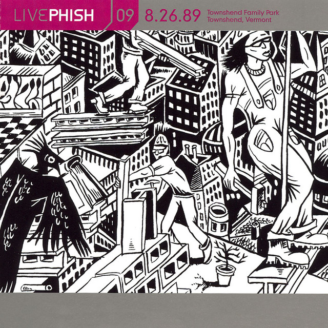 LivePhish, Vol. 9 8/26/89 (Townshend Famlly Park, Townshend, VT) album cover