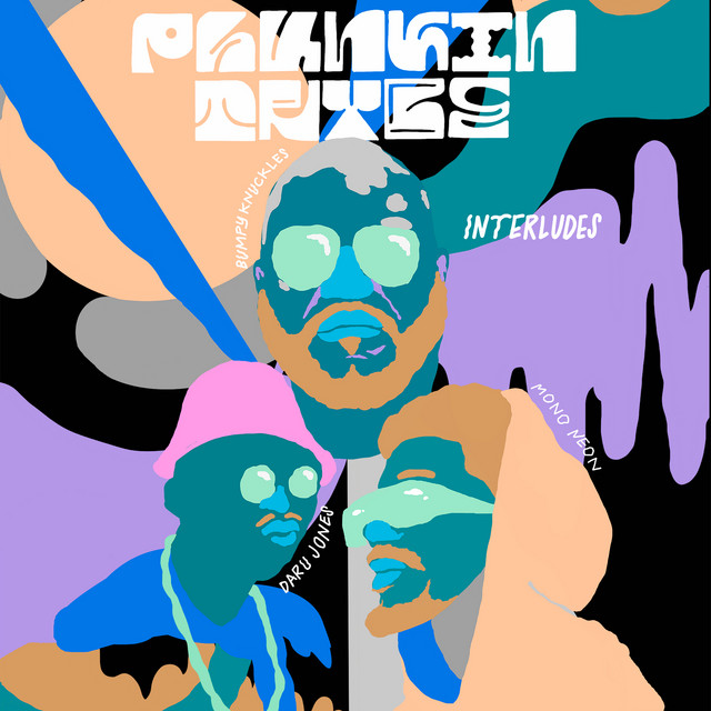 Phunkin Trybe Interludes album cover