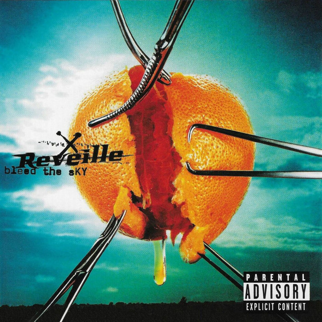 Bleed the Sky album cover
