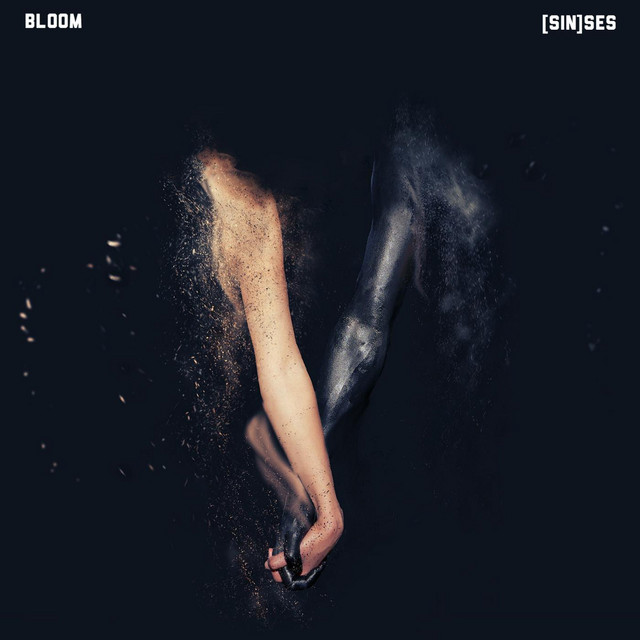 Sinses album cover