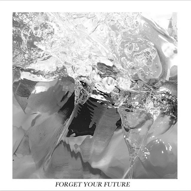 Forget Your Future album cover