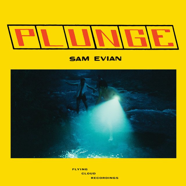 Plunge album cover