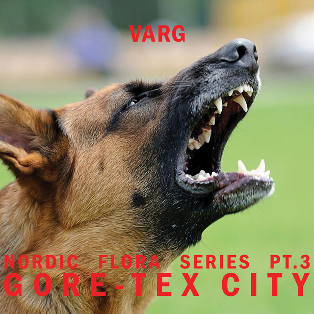 Nordic Flora Series, Pt. 3: Gore-Tex City album cover