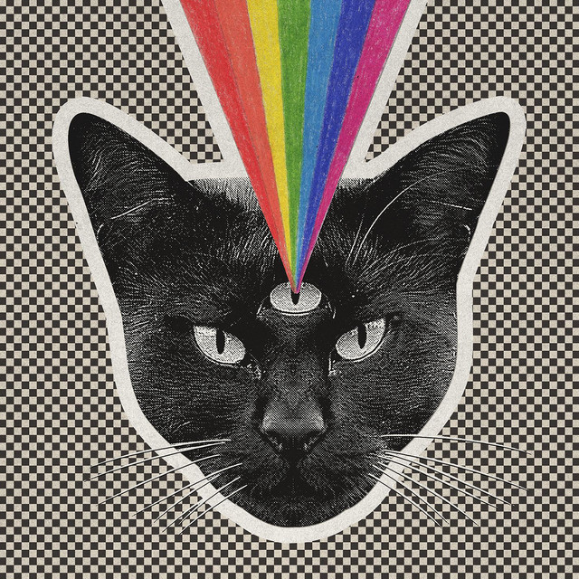 Black Cat album cover