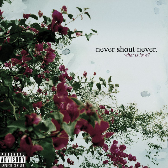 What Is Love? album cover