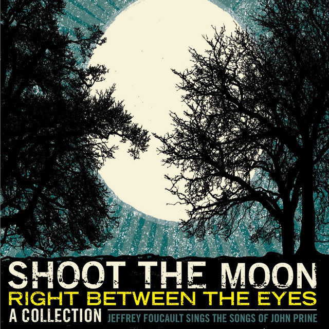 Shoot The Moon Right Between The Eyes album cover