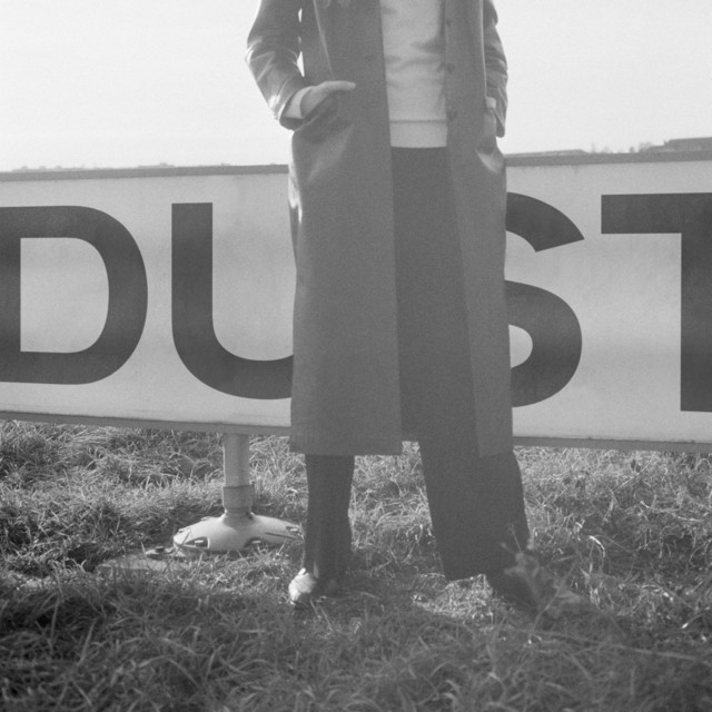 Dust album cover