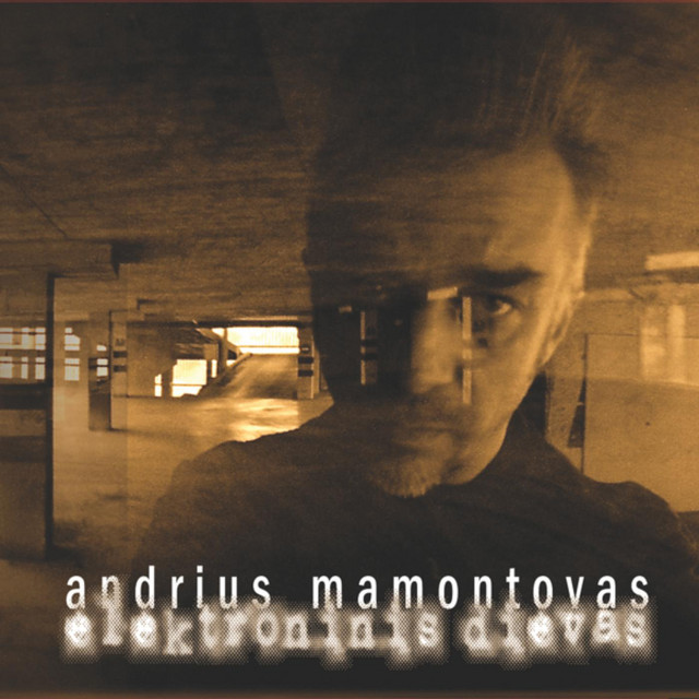 Elektroninis Dievas album cover