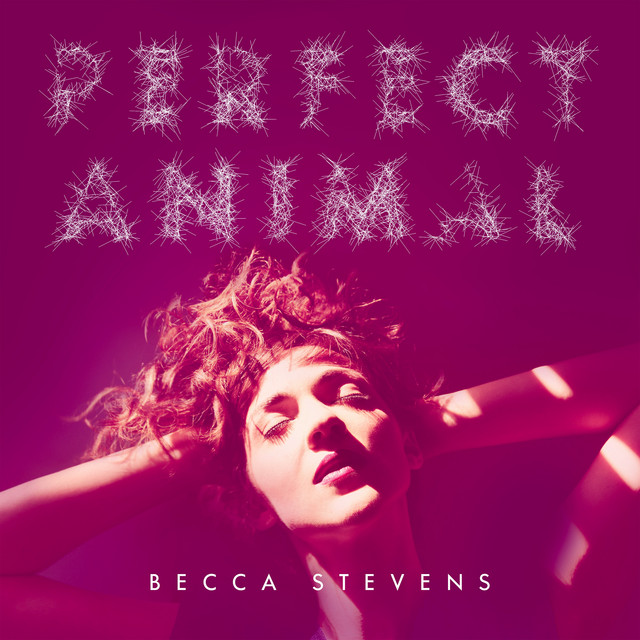 Perfect Animal album cover