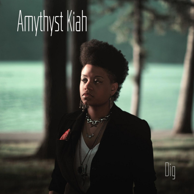 Dig album cover