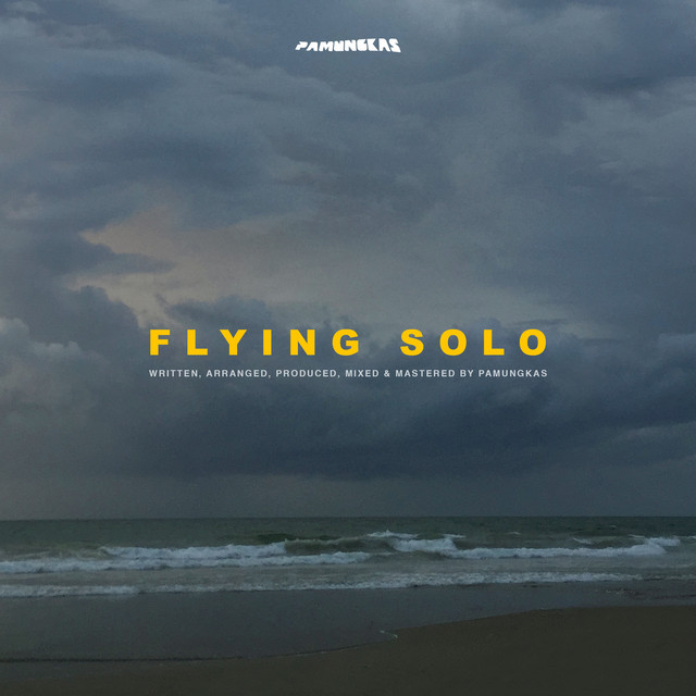 Flying Solo album cover