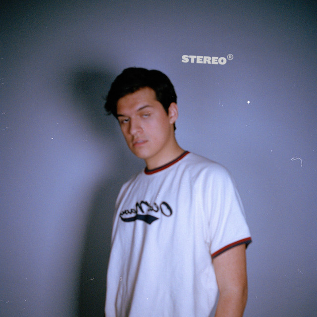 Stereo album cover