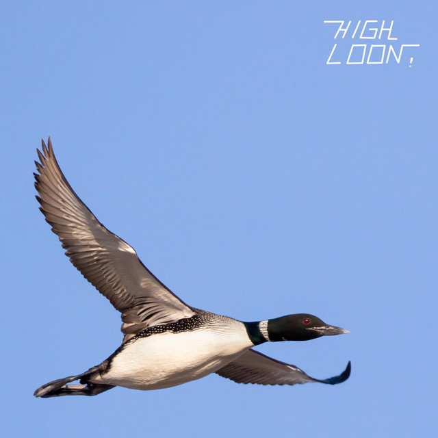High Loon! album cover