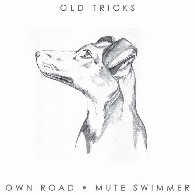 Old Tricks album cover