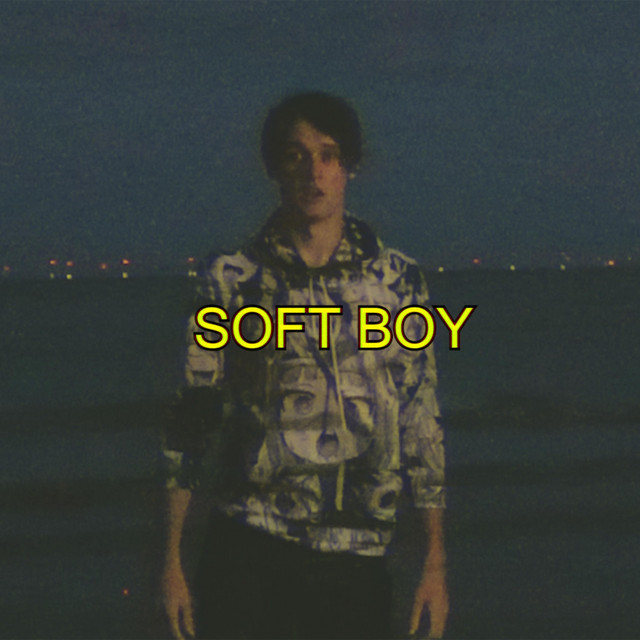 Marshall MG10CD as heard on Soft Boy by Wilbur Soot (2022)