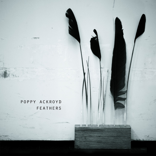 Feathers album cover